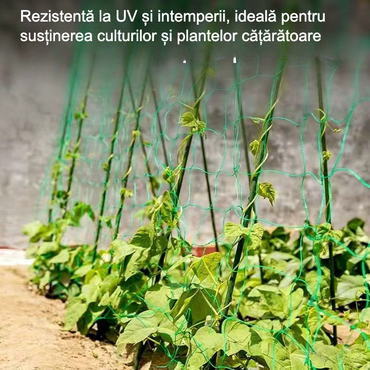 Plasă Spalier pentru Plante Cățărătoare 1.8mx5m - Reutilizabilă - Roșii, Fasole, Flori, Viță de Vie